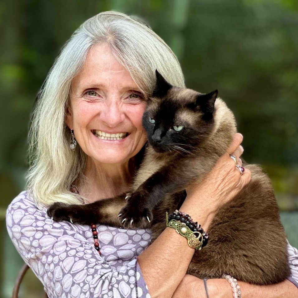 Soin énergétique à distance pour animaux. ÂME LIBRE accompagnement. Auto-guérison & Reconnexion à Ton Essence divine. Éveil de Conscience Par une connexion énergétique à distance, j'aide ton animal à guérir en le libérant des charges qu'il porte ou des traumatismes qu'il a vécus.