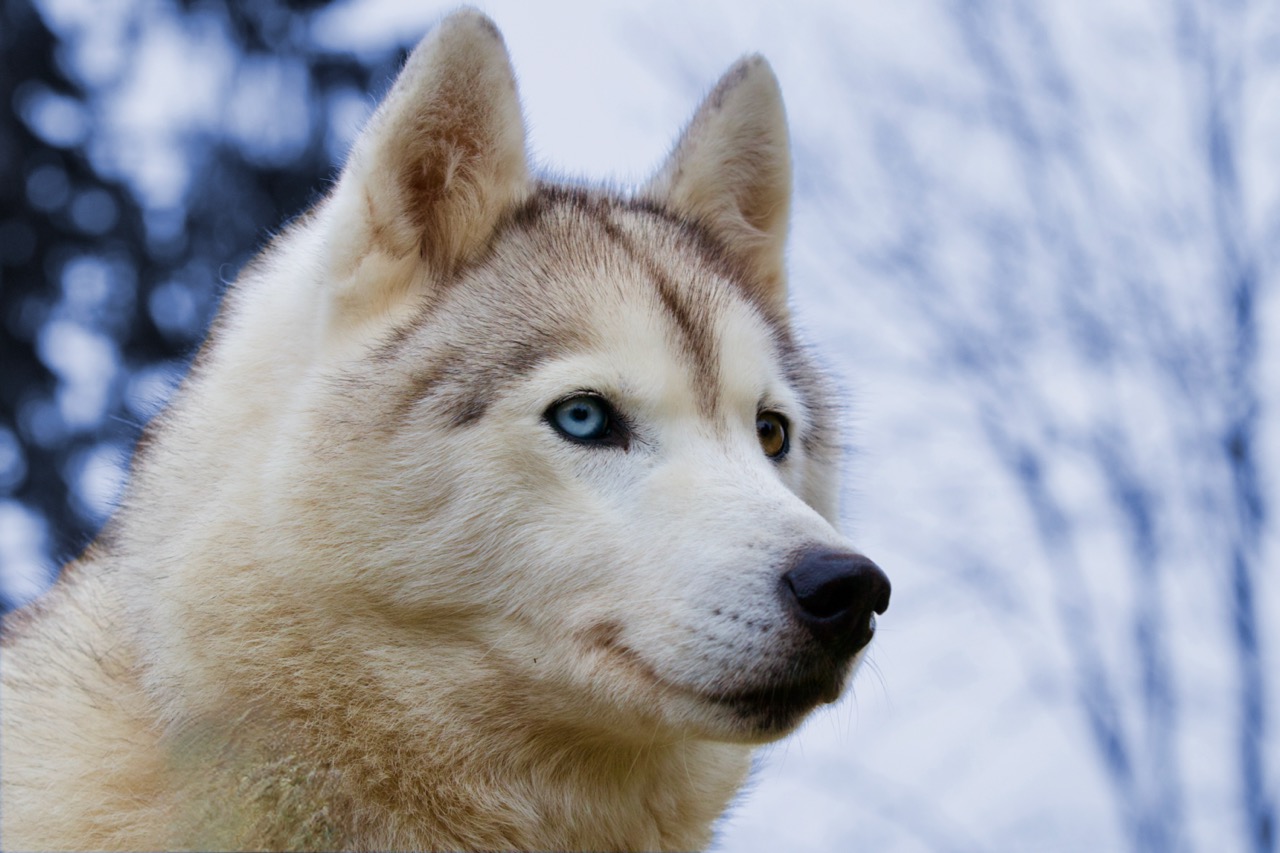 Rendez-vous avec l'Homme Sacré. ÂME LIBRE accompagnement. Auto-guérison et Reconnexion à Ton Essence divine. Éveil de Conscience