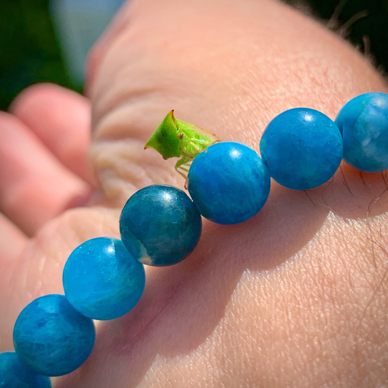 Vers une Vie sans marchandage. ÂME LIBRE accompagnement. Auto-guérison et Reconnexion à Ton Essence divine. Éveil de Conscience L'Être humain est la seule espèce sur Terre contrainte de travailler et payer pour survivre, la rendant ainsi esclave de l'argent, alors que la Terre offre tout en abondance à tous les règnes. Exploration pour une Vie libre